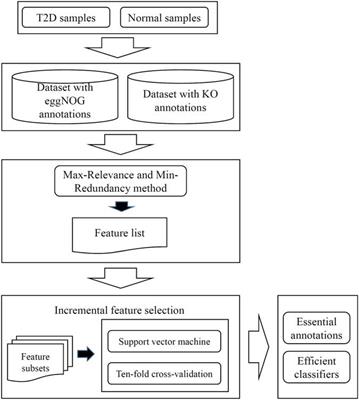 Identification of Microbiota Biomarkers With Orthologous Gene Annotation for Type 2 Diabetes